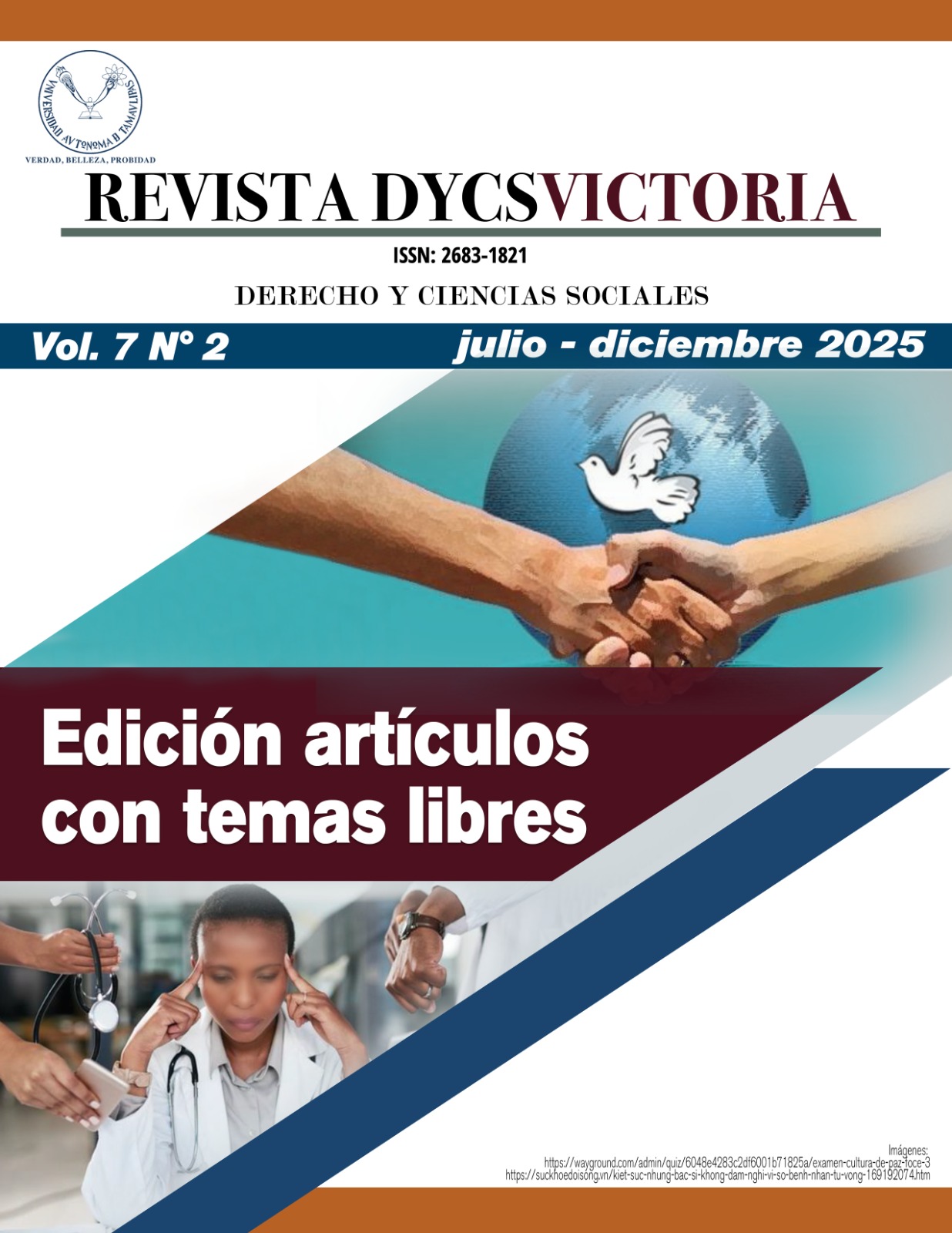 					View Vol. 7 No. 2 (2025): Edición artículos con temas libres
				